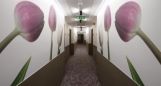 A Grabarics Kft. nyerte a HOTEL CORSO PÉCS kivitelezési munkáit