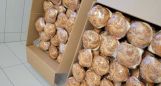 A Grabaricsnál nagy hagyománya van a közösségi jótékonykodásnak