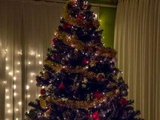 Grab_dec17_LowRes_00093-en
